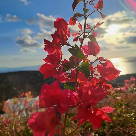 Dorothea Panoramic Lejlighed *