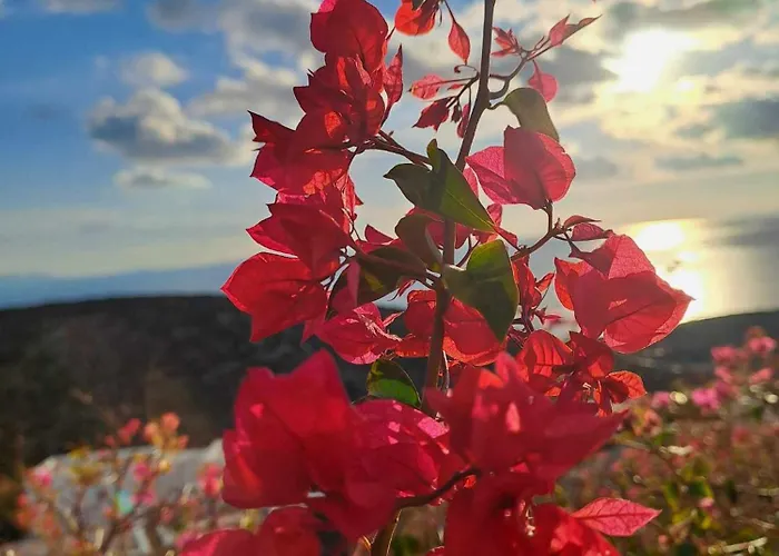 Dorothea Panoramic Апартаменты *